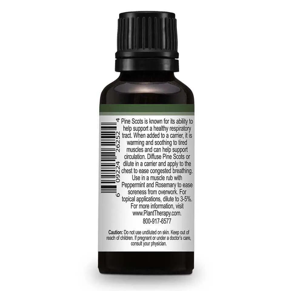 Pine Scots Essential Oil in 1oz/30mL