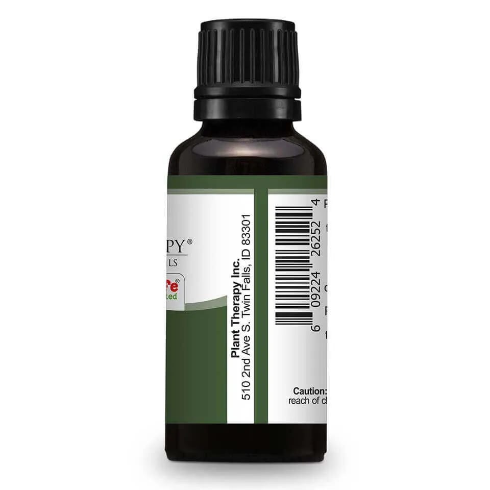 Pine Scots Essential Oil in 1oz/30mL