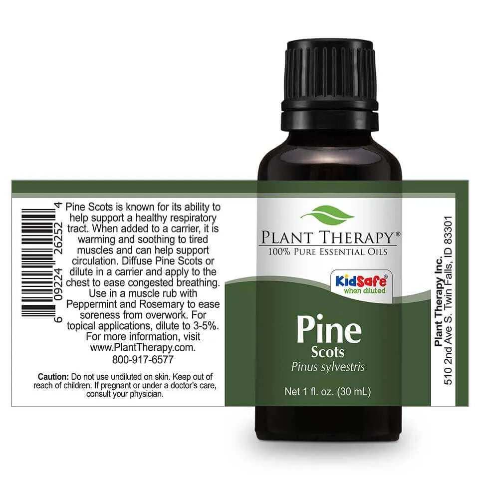 Pine Scots Essential Oil in 1oz/30mL