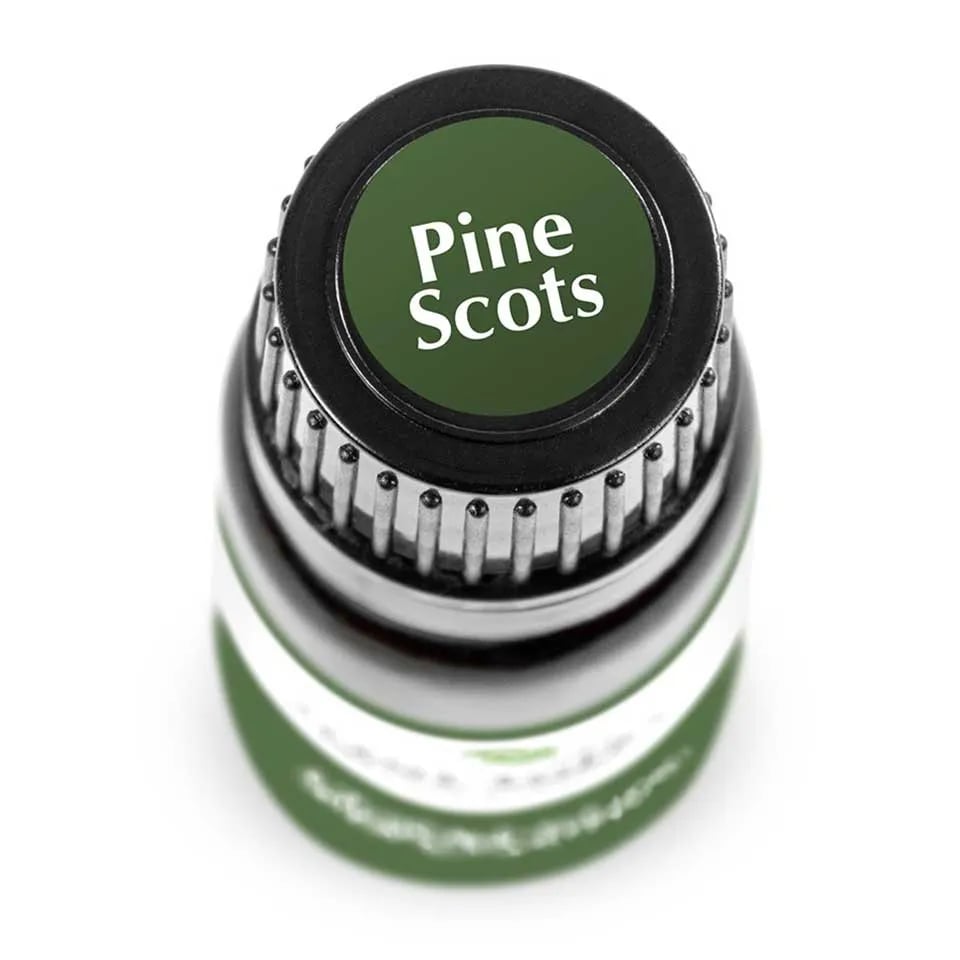 Pine Scots Essential Oil in 1oz/30mL
