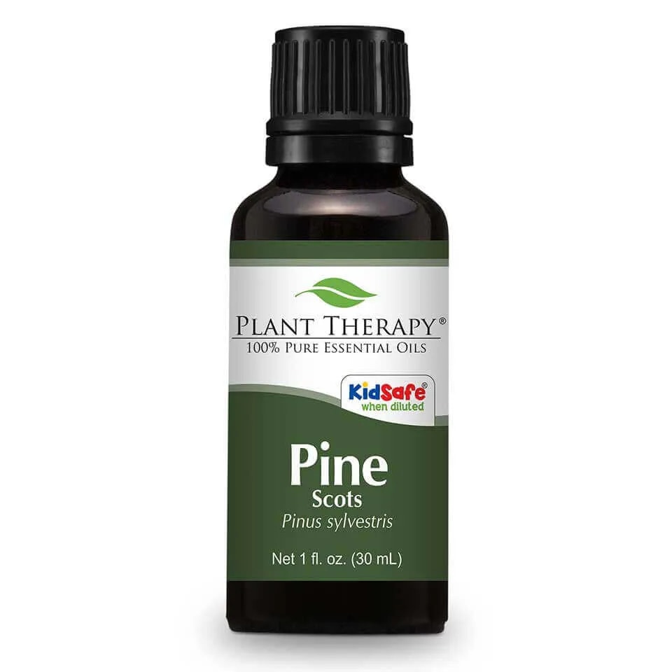 Pine Scots Essential Oil in 1oz/30mL